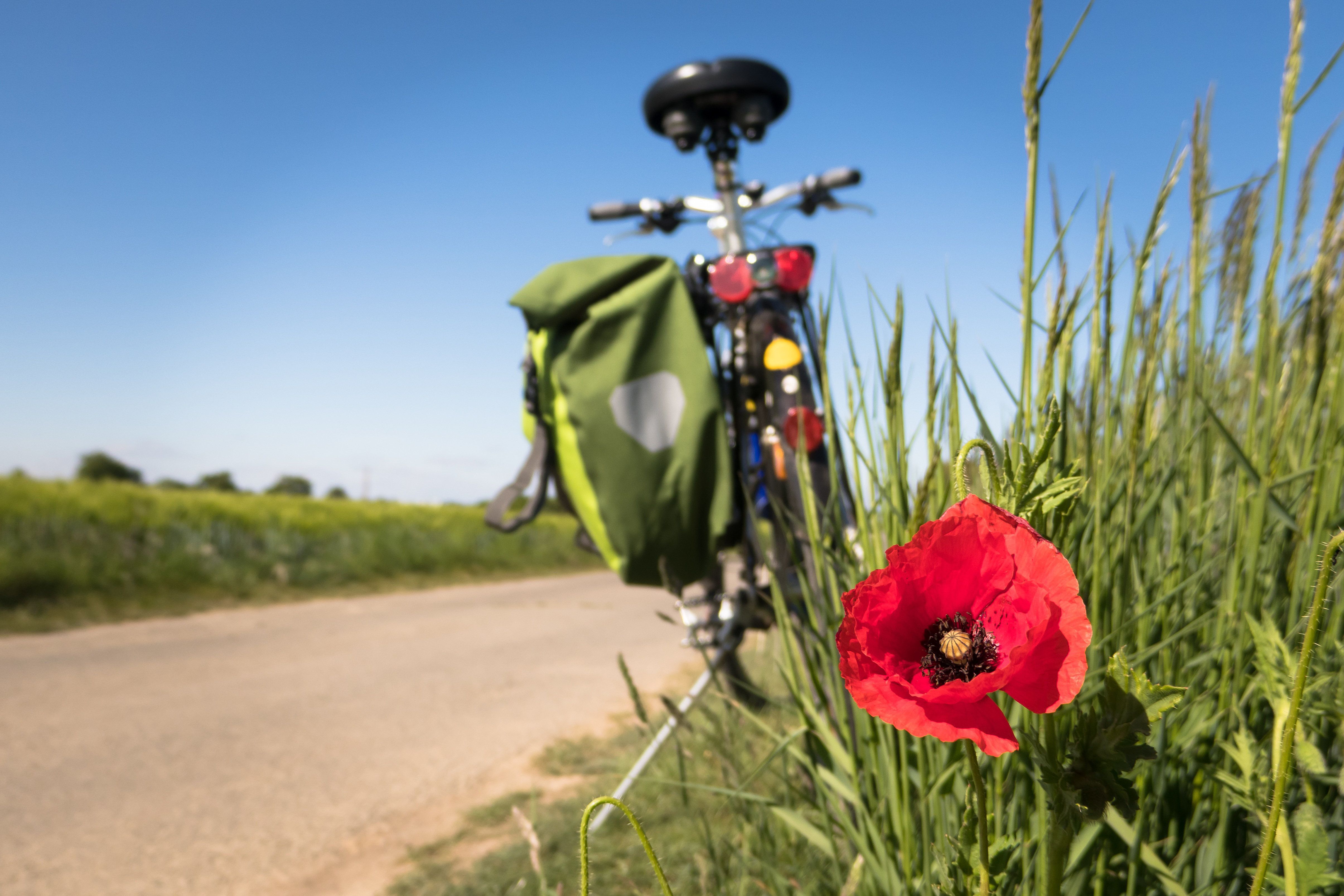 UrlaubFahrrad